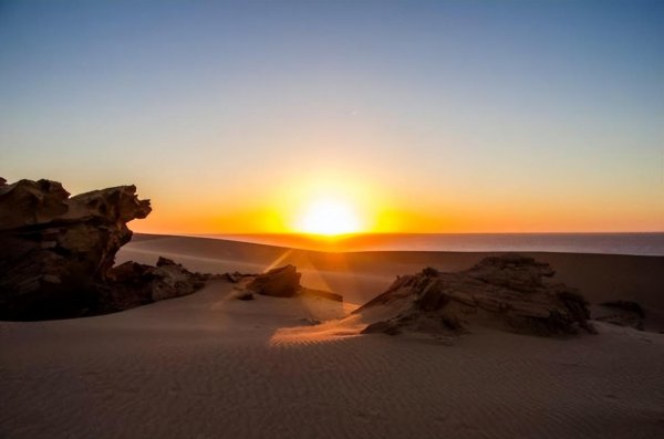 边塞四大诗人是哪四位