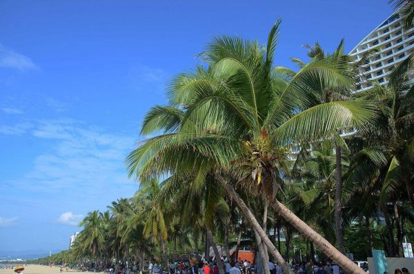 三亚适合几月份去玩