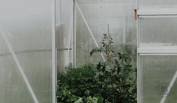 骆驼祥子好句加赏析