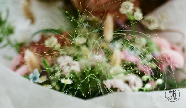 骆驼祥子好句加赏析