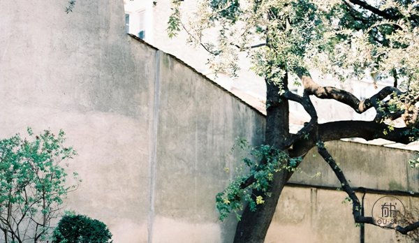 骆驼祥子好句加赏析