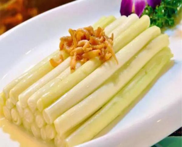 蒲儿菜这种野菜又被称作什么