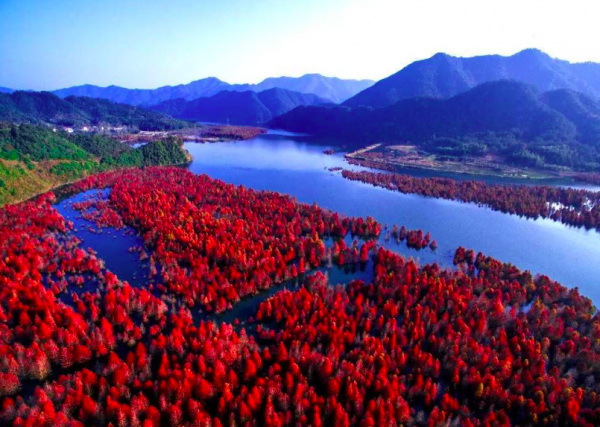 李白登临谢眺楼写了什么诗