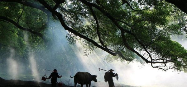 陶渊明是什么朝代的诗人