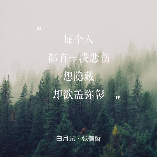 歌手张信哲个人资料