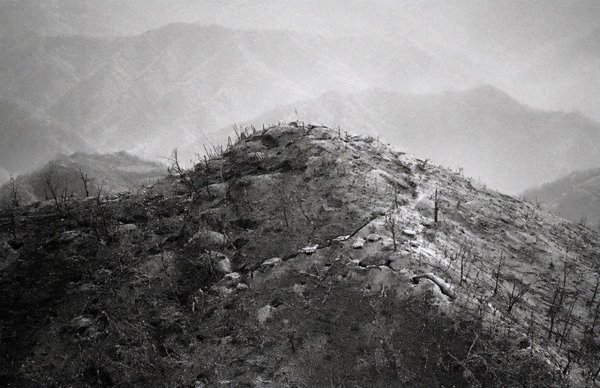 张桃方的故事介绍