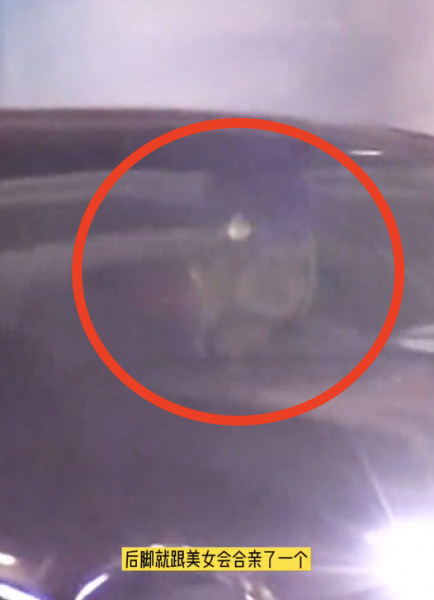 演员刘怡潼的个人资料简介