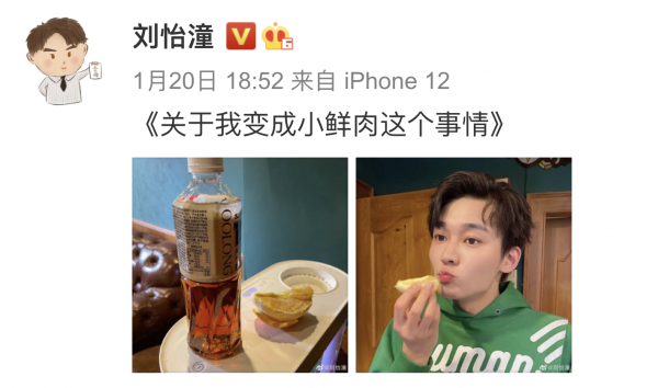 演员刘怡潼的个人资料简介