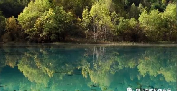 豆瓣评分9.0以上纪录片