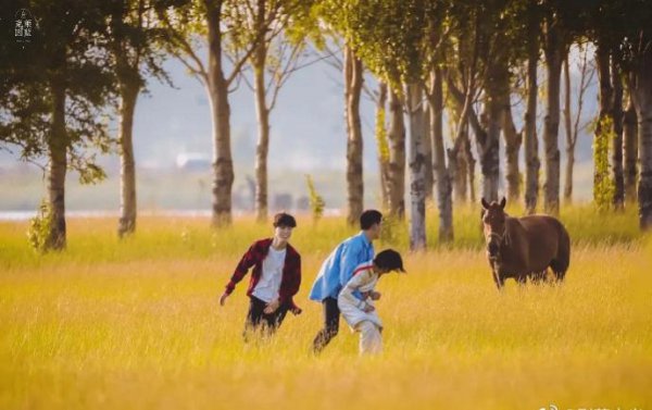 左肩有你原著小说改编成了什么