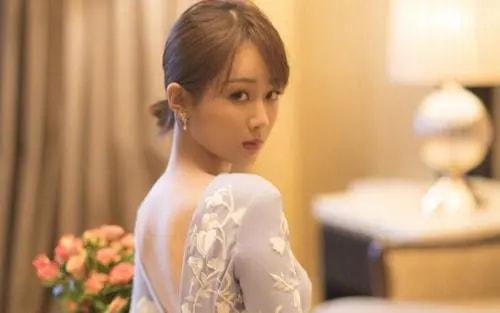 明星杨紫个人简介