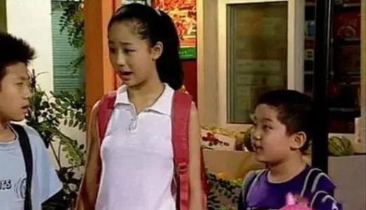 明星杨紫个人简介