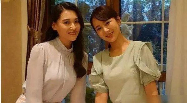 明星杨紫个人简介