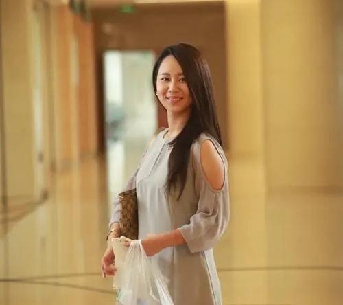 明星杨紫个人简介