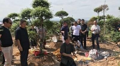 老人死后100天有啥说法