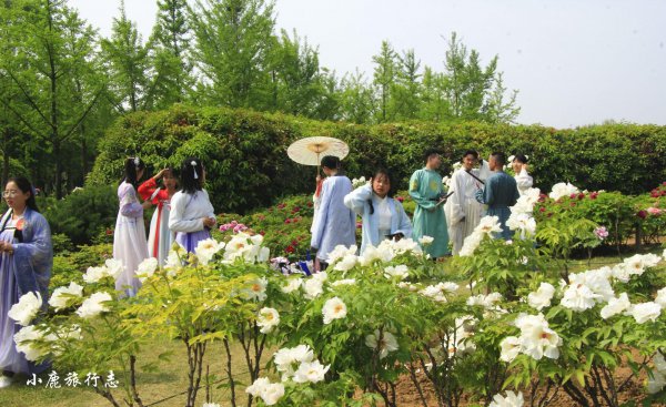 牡丹之乡是哪个城市