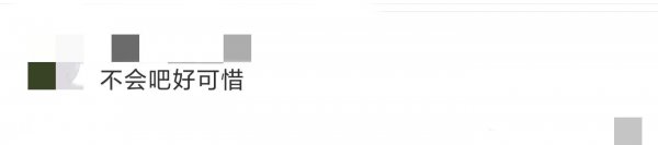 周扬青和罗昊为什么分手