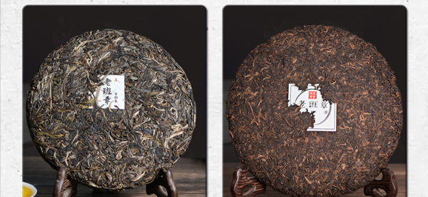 普洱茶怎么区分好坏