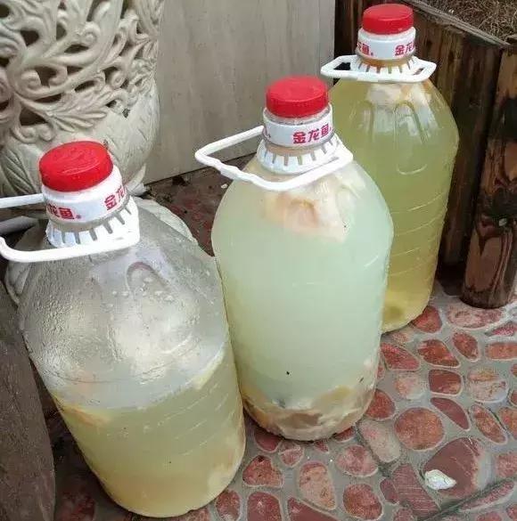 一分钟教你自制氮磷钾肥