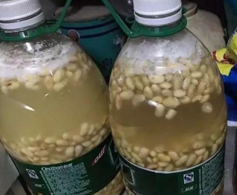 一分钟教你自制氮磷钾肥