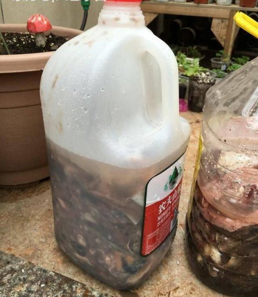 一分钟教你自制氮磷钾肥