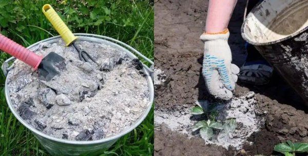 一分钟教你自制氮磷钾肥