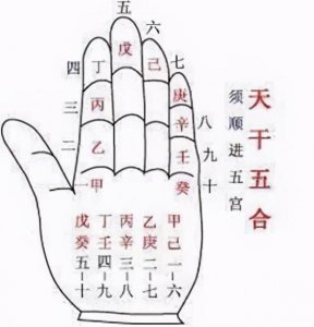 十二天干和十二地支是什么 掐指一算天干地支小知识