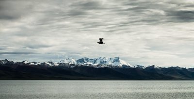 青藏高原有什么之称 我国的青藏高原竟是印度富庶之源