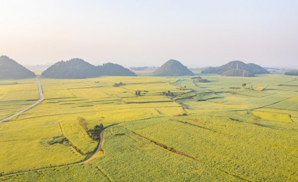中国最宜居城市前十名