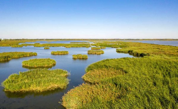 纬度最高的省份是哪个省