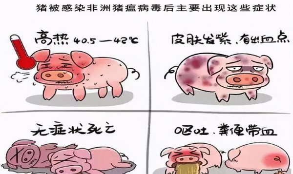 都江堰是哪个朝代修建的