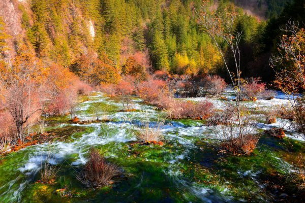 四川九寨沟的景点介绍