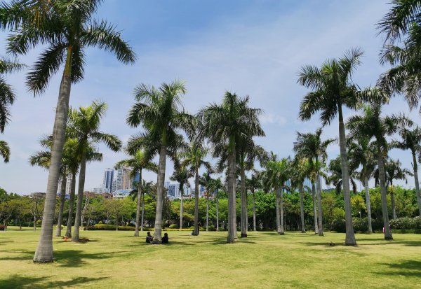 环境优美的海滨城市介绍