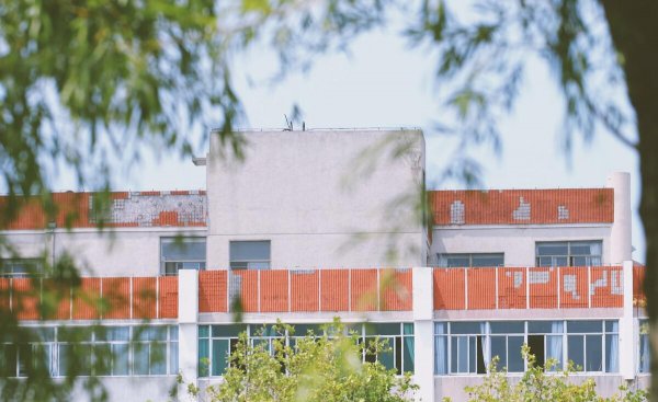 高考综评什么意思