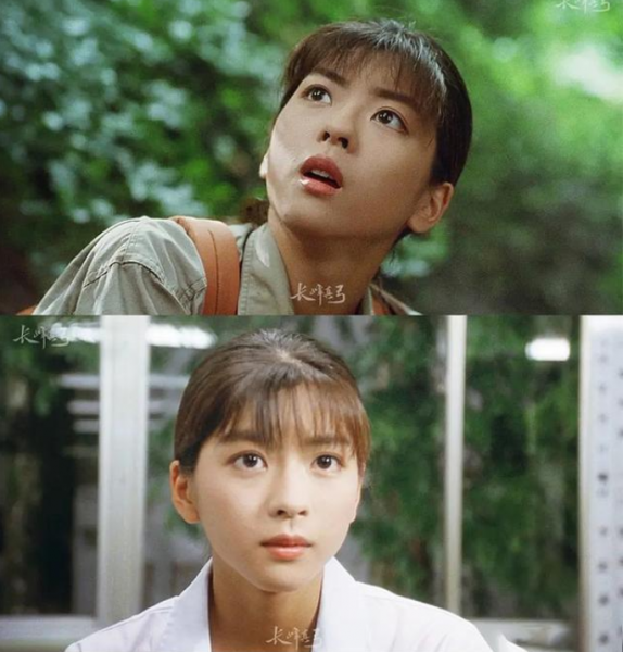 中山忍个人资料照片及简历