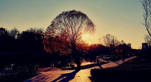 了不起的盖茨比故事梗概