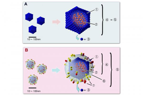 病毒存在多少亿年了