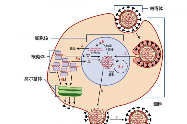 病毒存在多少亿年了