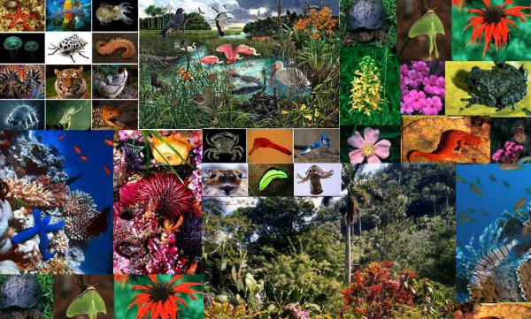 病毒存在多少亿年了