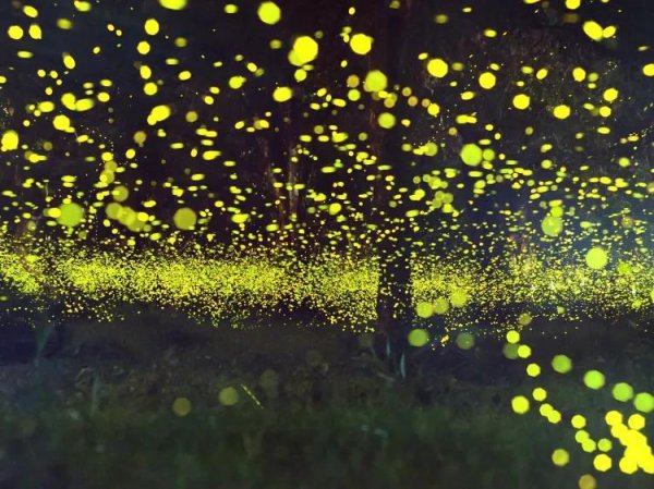 山东省临沂有什么好玩的地方