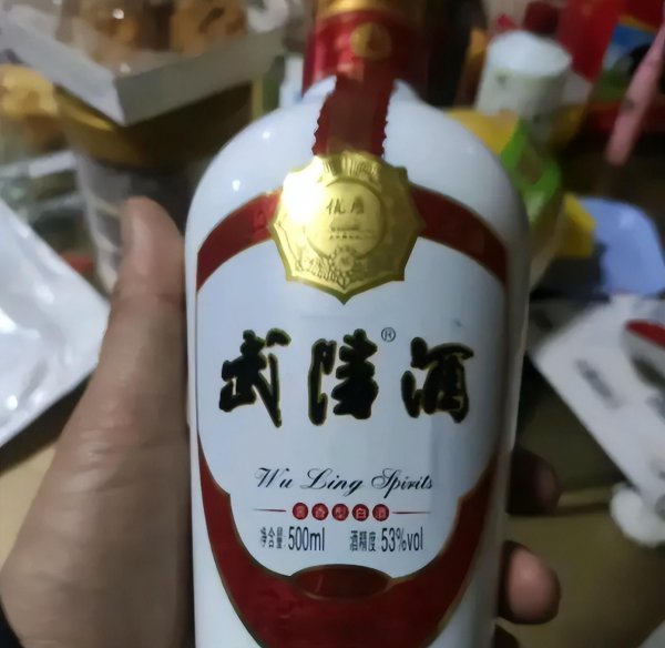 武陵酒是名酒吗