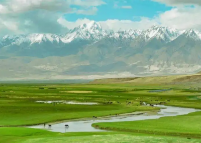 新疆的特产详细介绍 新疆地方6大特产盘点