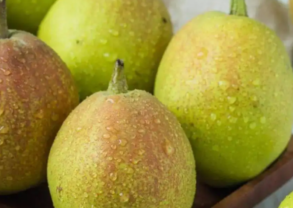 新疆的特产详细介绍