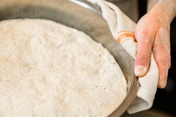 啤酒为什么要放啤酒花