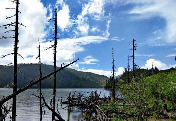香格里拉在哪个省份