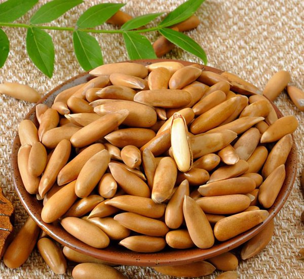 brazil是哪个国家