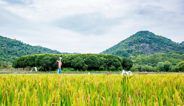 杭州周边好玩的地方推荐