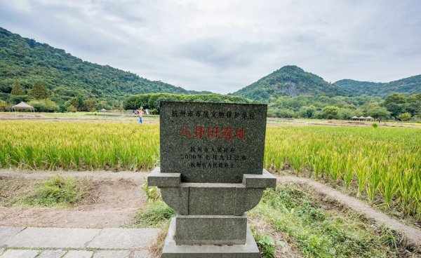 杭州周边好玩的地方推荐