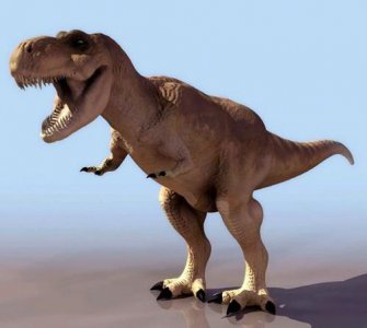 恐龙种类名字图片大全 地球上10大人气最高的恐龙