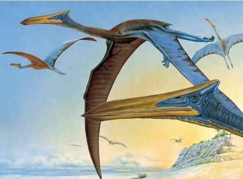 恐龙种类名字图片大全